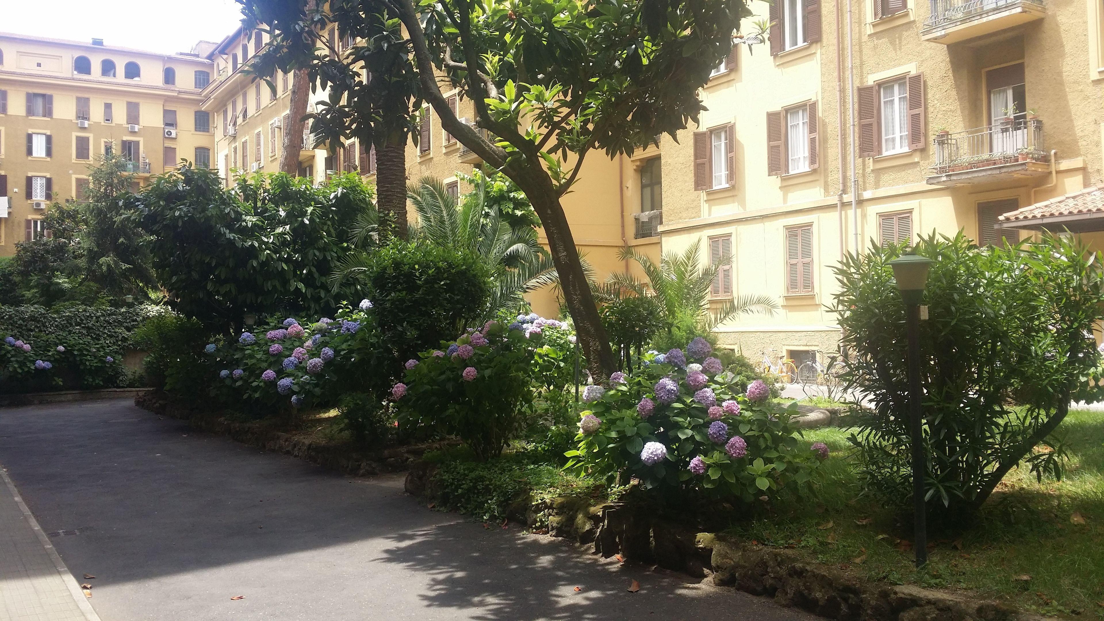 Fiocca B&B - Rome — Photos 1