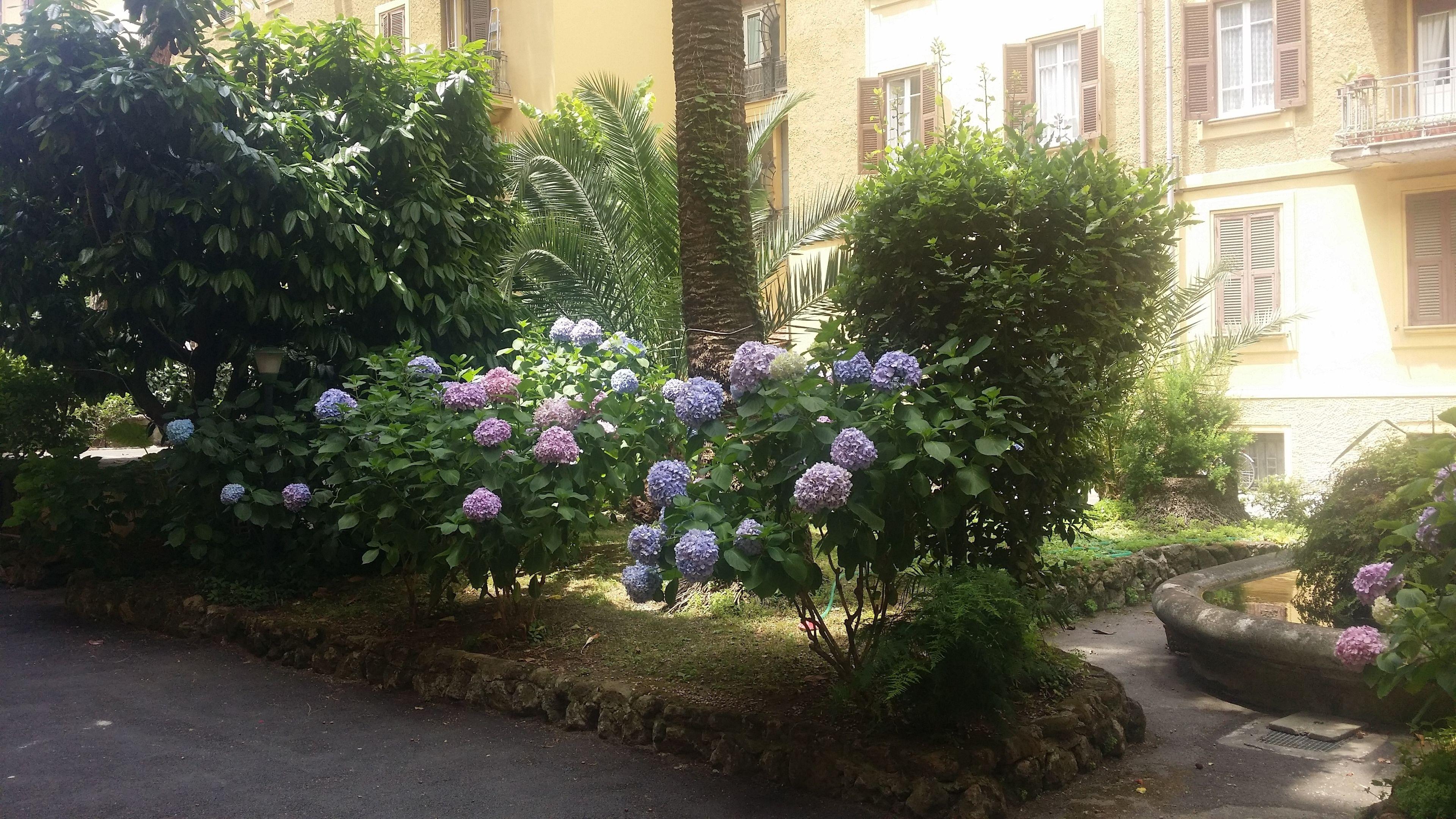 Fiocca B&B - Rome — Photos 2